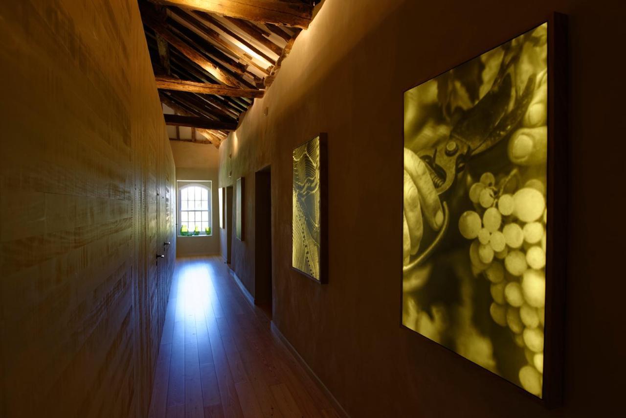 Quinta Da Casa Amarela- Casas Da Quinta - Turismo Em Espaco Rural Lamego Exterior photo