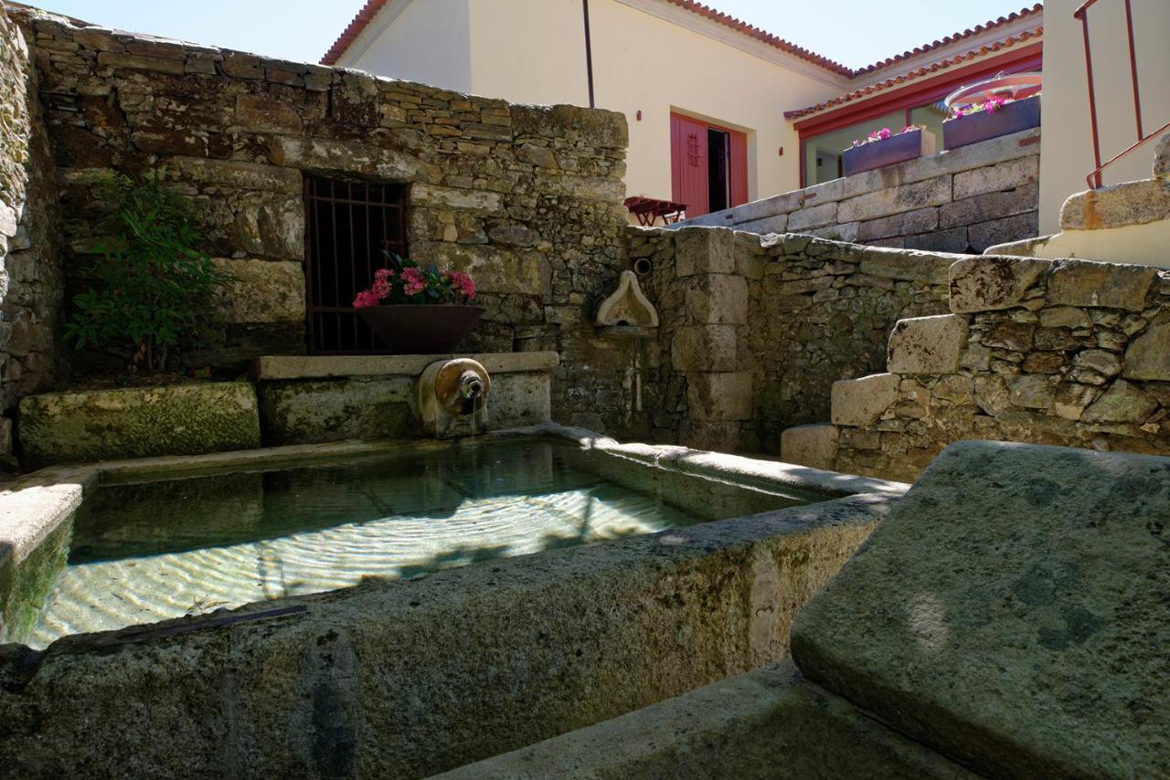Quinta Da Casa Amarela- Casas Da Quinta - Turismo Em Espaco Rural Lamego Exterior photo